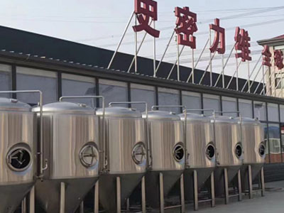 平泉精酿啤酒设备厂—市场规模与跨界新需求
